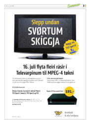 Síða 31