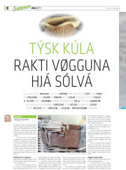 Síða 36