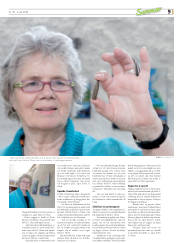 Síða 37
