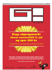 Síða 9