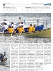 Síða 17