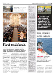 Síða 29