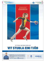 Síða 27