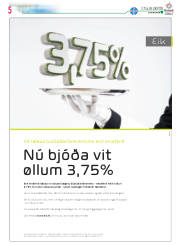 Síða 29