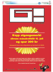 Síða 31