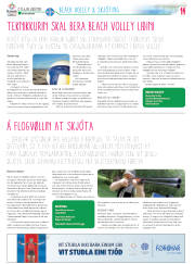 Síða 38