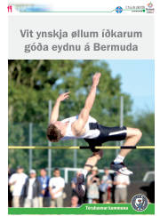 Síða 43