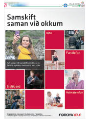 Síða 45