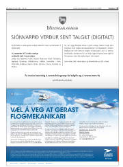 Síða 19