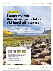 Síða 23