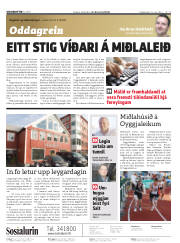 Síða 2