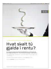 Síða 3