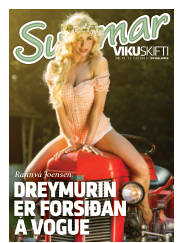 Síða 33