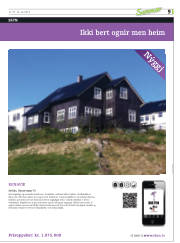 Síða 41