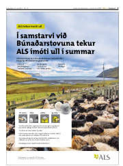 Síða 5