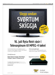 Síða 15