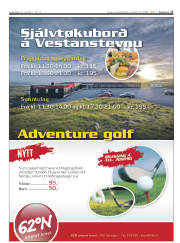 Síða 17