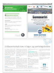 Síða 21
