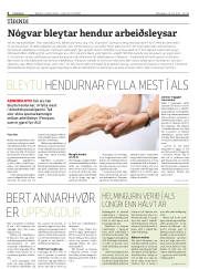 Síða 4