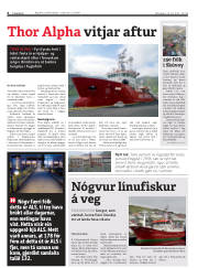 Síða 6