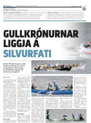 Síða 20