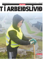 Síða 25