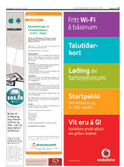 Síða 29