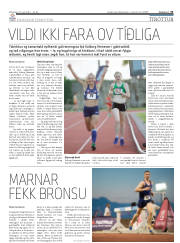 Síða 31
