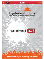 Síða 35