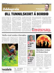 Síða 2