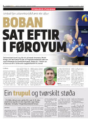 Síða 8