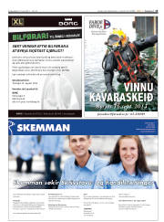Síða 15