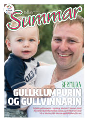 Síða 25