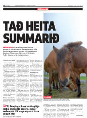 Síða 26