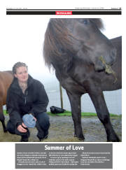 Síða 27