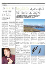 Síða 6