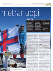 Síða 15