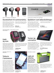 Síða 25