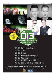 Síða 29