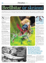 Síða 68