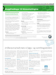 Síða 11