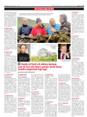 Síða 15