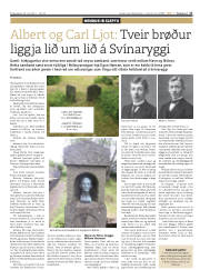 Síða 17