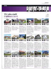 Síða 40