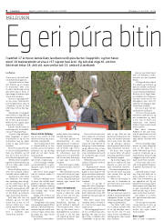Síða 6