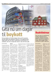 Síða 8