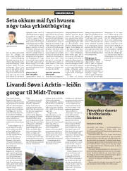 Síða 17