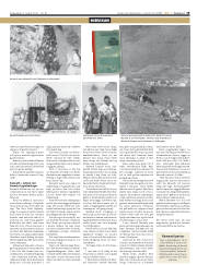 Síða 19