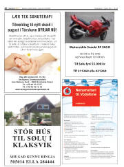 Síða 20