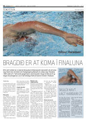 Síða 30